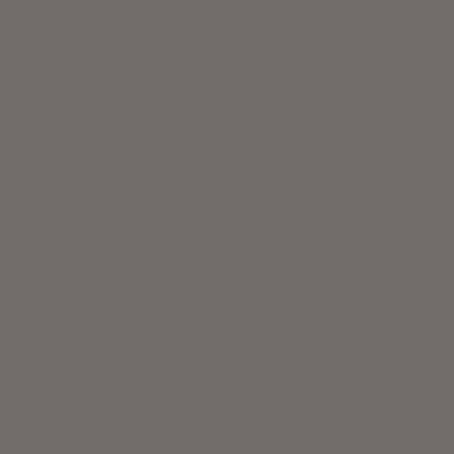 BRESSER SBP31 Achtergrond Rol 1,36x11m donker grijs