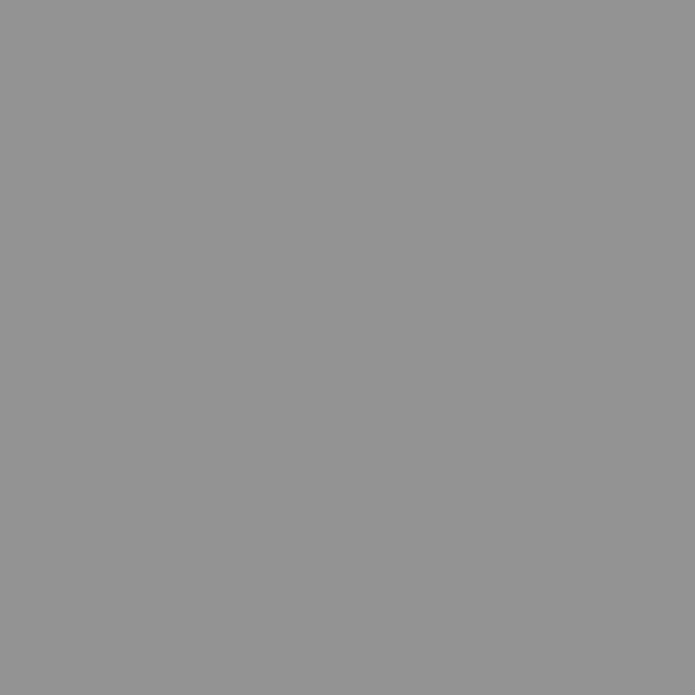 BRESSER SBP17 Achtergrond Rol 1,36x11m licht grijs