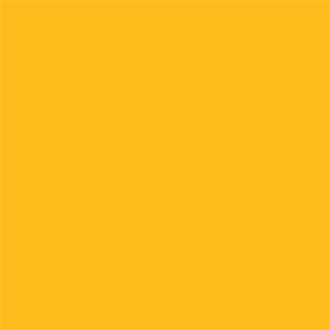 Superior achtergrondpapier 14 forsythia yellow 1 35 x 11m full