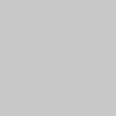Superior achtergrondpapier 42 morning mist 2 72 x 11m full