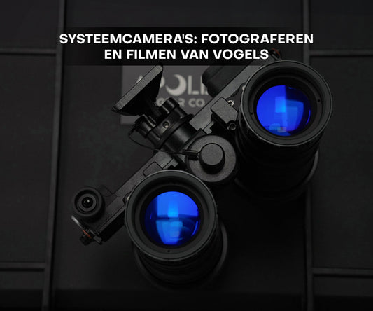 Systeemcamera's: fotograferen en filmen van vogels