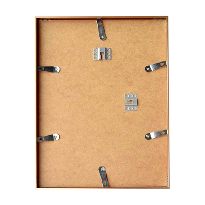 Nielsen fotolijst 52724 accent mat zilver 50x70 cm