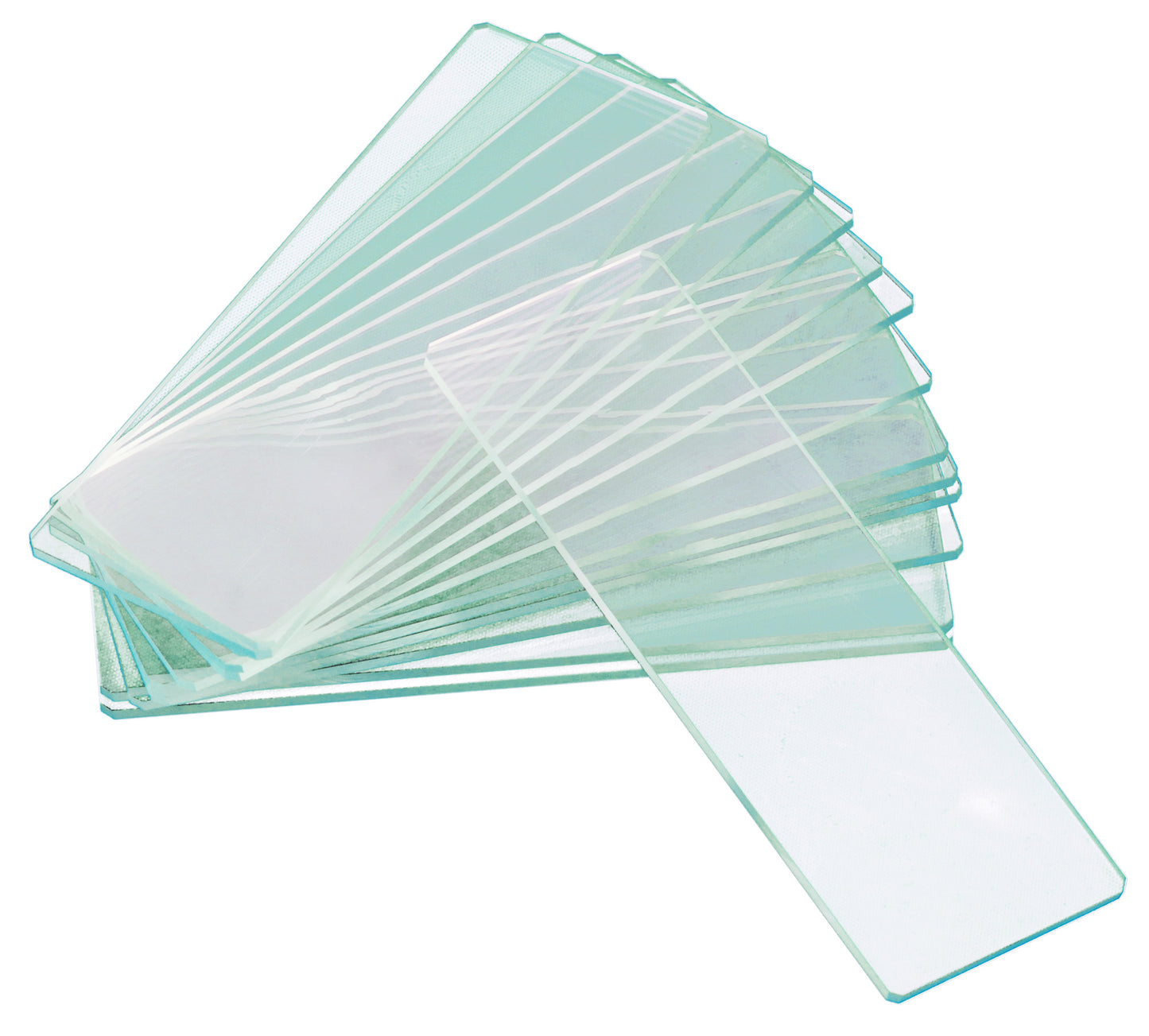 Levenhuk G50 2H Dubbele Cavitiet Blanco Objectglaasjes, 50 stuks