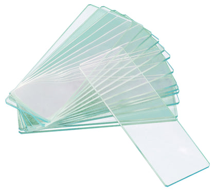 Levenhuk G50 2H Dubbele Cavitiet Blanco Objectglaasjes, 50 stuks