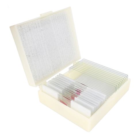 Konus preparaten set biologie zologie 1 25 stuks ful