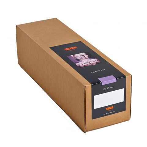 Tecco inkjet paper premium silk raster psr290 61 0 cm x 25 m full tecco